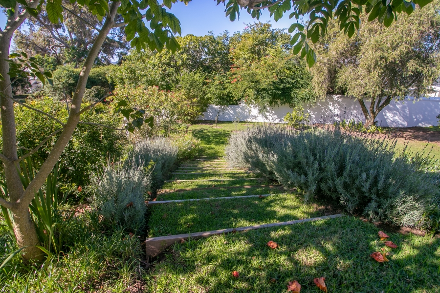 4 Bedroom Property for Sale in Belvidere Estate Western Cape